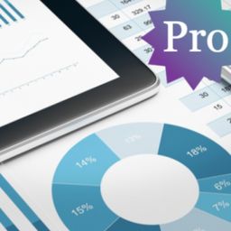 Business Analysis Pro