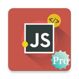 JavaScript Programming Pro