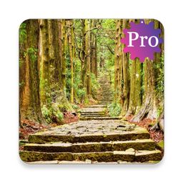 Forest Engineering Pro