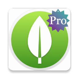 MongoDB Database Pro