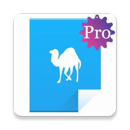 Perl Programming Pro