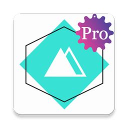 Assembly Language Pro