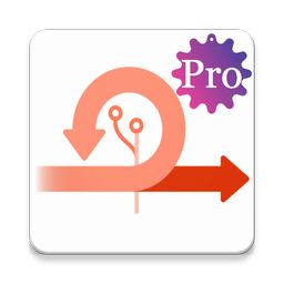 Agile Project Management Pro