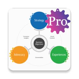 International Business Pro