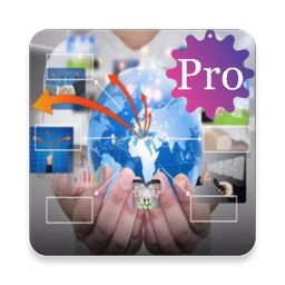 Managerial Economics Pro