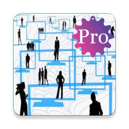 Organizational Behavior Pro