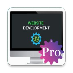 Website Development Pro